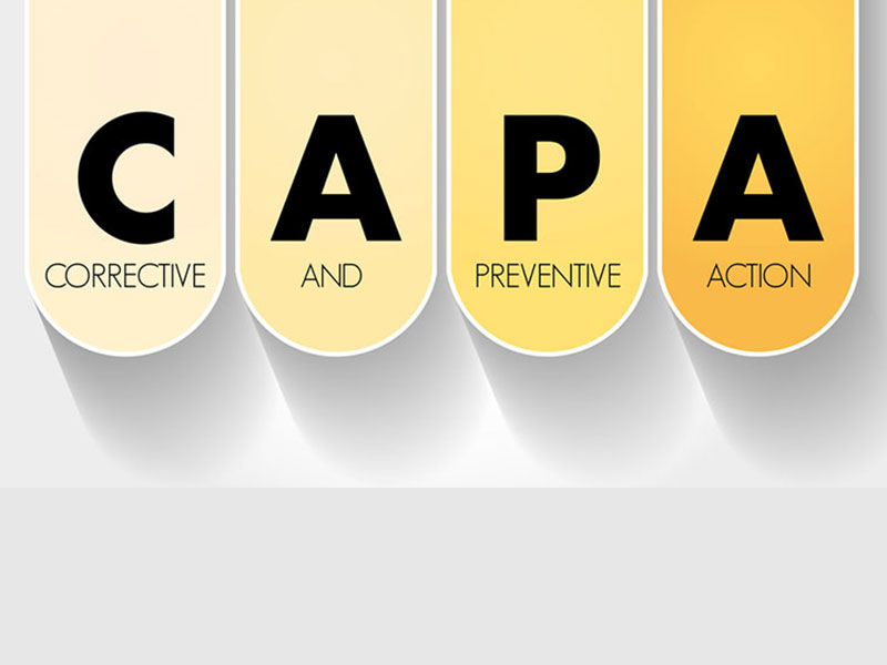 Fundamentals of the CAPA Quality Process